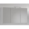 Armoire Miroir 100x60 cm Blanc: 311273