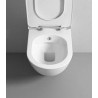 Banio WC suspendu design avec fonction bidet et abattant soft-close wc douche - blanc