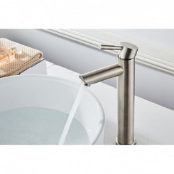 Banio Exclusif 304-robinet de lavabo haut en inox 304